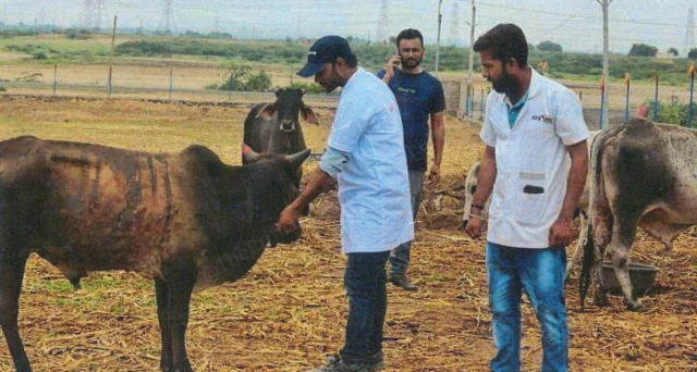 Gaushala (Dairy Farm)